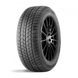 DoubleStar DW09 235/55R20 102H