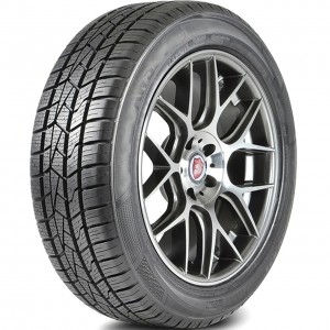 Delinte AW5 175/70R13 82T