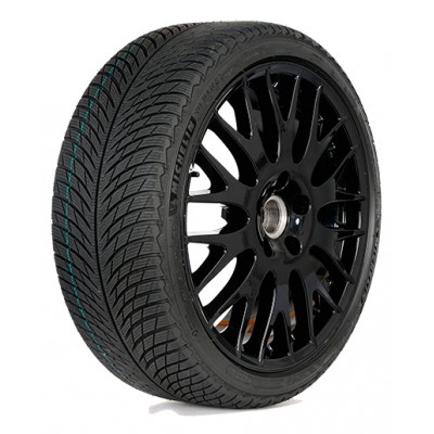 Купить шины в Дзержинске Michelin Pilot Alpin 5 255/35R19 96V