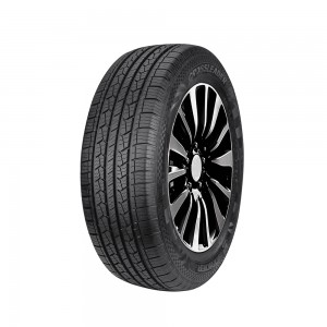 Doublestar DS01 215/55R18 95H