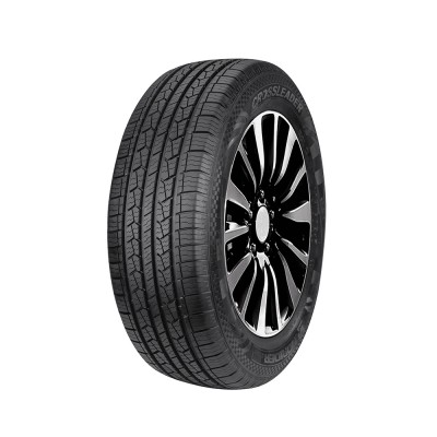Купить шины в Дзержинске Doublestar DS01 265/70R17 115H