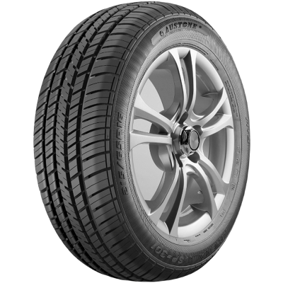 Купить шины в Дзержинске Austone SP-301 215/65R16 102H