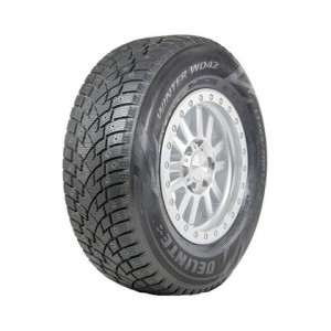 Delinte Winter WD42 245/45R20 103H